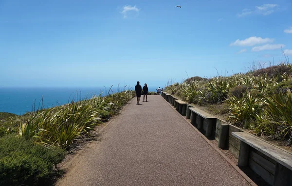 Cape Reinga Nouvelle Zélande Janvier 2020 Visites Cape Reinga Nouvelle — Photo