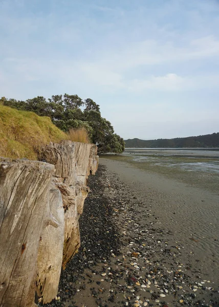 Schöne Landschaft Von Whangarei North Island Neuseeland — Stockfoto