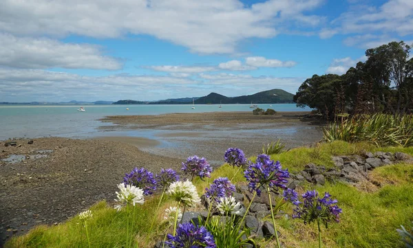 Bella Vista Intorno Whangarei City North Island Nuova Zelanda — Foto Stock