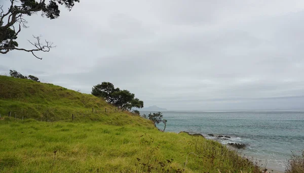 Piękny Widok Wokół Waipu Beach North Island Nowa Zelandia — Zdjęcie stockowe