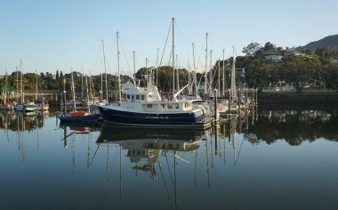 Whangarei, Yeni Zelanda - 17 Ocak 2020: Su Kenti Havzası 'nda Sabah Yürüyüşü Yeni Zelanda