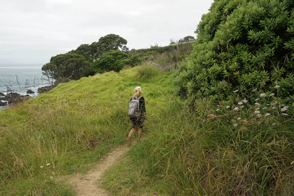 Piękny Widok Wokół Waipu Beach North Island Nowa Zelandia — Zdjęcie stockowe