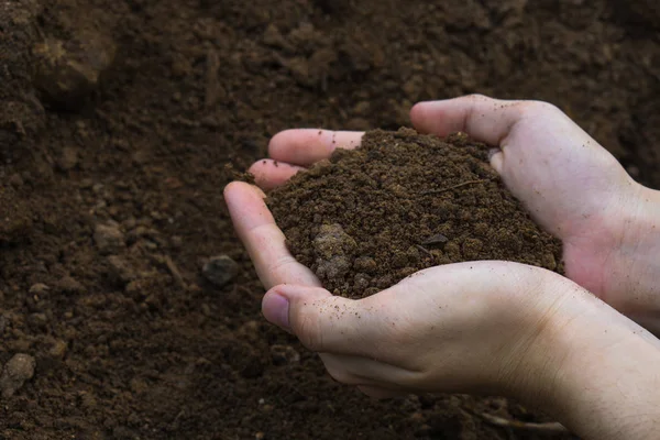 Dos manos sostenían tierra para preparar la planta.Símbolo de espín — Foto de Stock