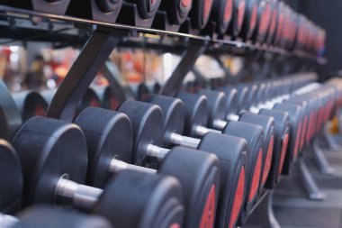 Egzersiz ve güç eğitimi için bir çift dambıl. Spor, spor