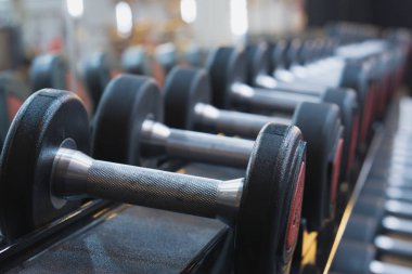 Egzersiz ve güç eğitimi için bir çift dambıl. Spor, spor