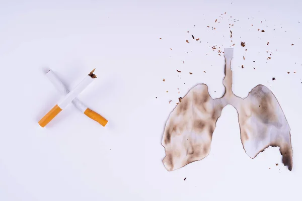 香烟的烟的肺 香烟在白色背景下破坏肺 香烟会导致癌症和死亡 禁止吸烟运动概念 — 图库照片