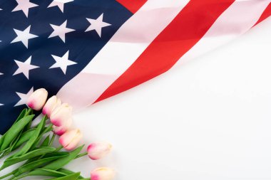 Beyaz arka planda lale çiçeği olan Amerikan bayrağı. ABD Anma Günü, Başkanlar Günü, Gaziler Günü, İşçi Bayramı, Bağımsızlık Günü ya da 4 Temmuz kutlamaları için. Üst görünüm, metin için boşluk kopyala.