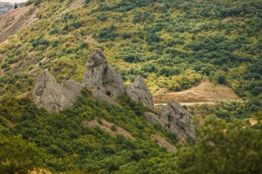 Sıcak yaz manzarası. Vadi, sıcak güneşin ışınlarında..