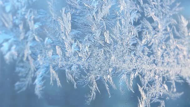 Hoarfrost on glass, snowflake closeup. — Stock Video