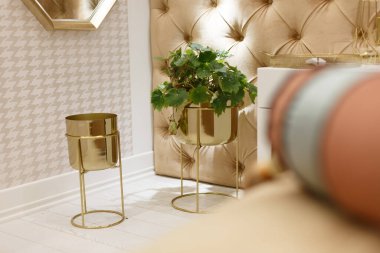 Yatak odasındaki dekorlar. İki altın saksı, bir saksı yetişiyor. Çerçevede beyaz komodin var. Duvar bej renkli yumuşak kumaşla kaplanmış. Bokeh 'te yastıklar ön planda