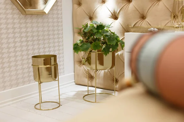 Елементи Декору Спальні Дві Золоті Квіткові Чаші Одна Кімнатна Рослина — стокове фото