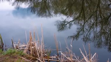 Suyun ayna gibi pürüzsüz bir yüzeyi olan gölün kıyısı. Bulutlar suya yansıyor. Ormandan uzakta, ilkbaharın başında. Sola ve sağa hareket et. Bulutlu. Rusya 'nın orta şeridi.