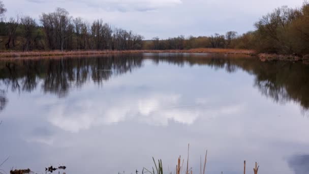 Das Ufer Des Sees Mit Einer Spiegelglatten Wasseroberfläche Wolken Spiegeln — Stockvideo