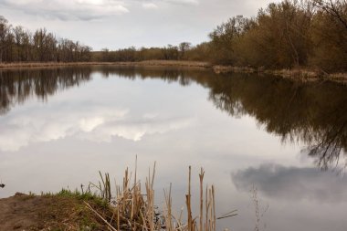 Gölün kıyısı, su aynasıyla kaplı. Bulutlu. Bulutlar suya yansıyor. Ufukta bir bahar ormanı var. Ön planda sazlıklar.