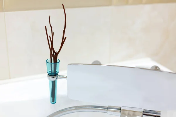 Banyoda Dekorasyon Malzemesi Var Kuru Dalları Olan Küçük Mavi Bir — Stok fotoğraf