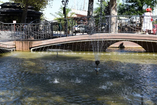 En primer plano hay una fuente, seguida de un puente sobre el que —  Fotos de Stock