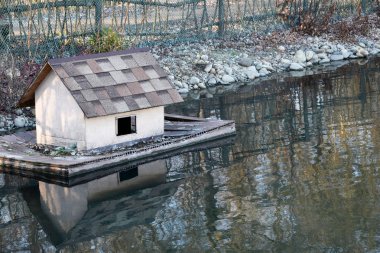 Ördekler için küçük bir ev gölde yüzüyor. Çevresindeki göl bir hasır çit ve ağla çevrili..