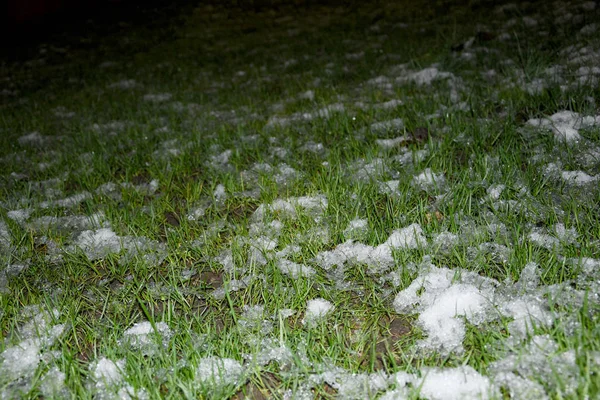 Groen Gras Eerste Sneeuw Erop Gazon Met Groen Gras Lente — Stockfoto