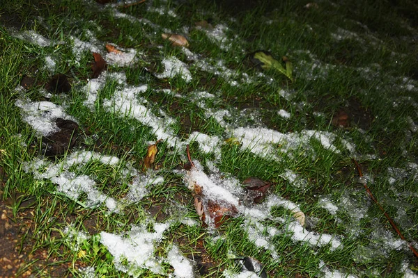 Het Gazon Met Groen Gras Bedekt Met Een Beetje Sneeuw — Stockfoto