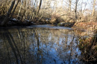 Kış başları, bahar, kıvrımlı bir nehir akar, ağaçlar kıyılarda yetişir. Yapraksız ağaçlar, bazı yerlerde yerde kar yatar..