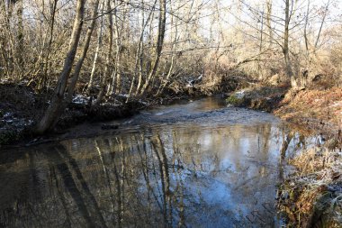 Kış başları, bahar, kıvrımlı bir nehir akar, ağaçlar kıyılarda yetişir. Yapraksız ağaçlar, bazı yerlerde yerde kar yatar..