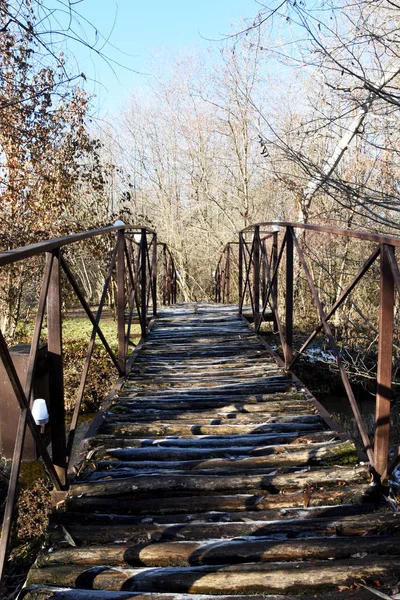 Nella Foresta Ponte Legno Con Ringhiere Recinzioni Ferro Luminosa Giornata — Foto Stock