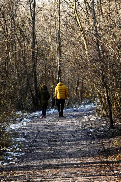 Due Turisti Uomo Una Donna Giacca Gialla Camminano Nella Foresta — Foto Stock