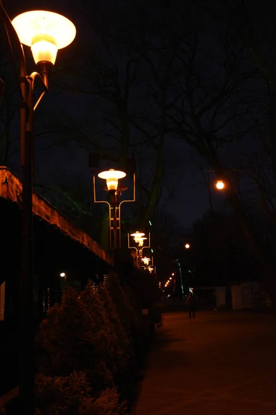 Ulici Noci Jen Lucerny Stojící Řadě Jasně Svítí Osvětlují Cestu — Stock fotografie