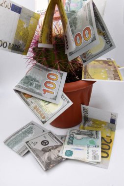 Beyaz arka planda kaktüslü bir saksı var, tüm kaktüs farklı ülkelerin banknotlarıyla dolu, para birimi çiçekten düşüyor ve masayı kaplıyor..