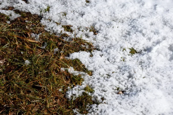 Ligt Sneeuw Het Gras Sommige Plaatsen Smelt Het Lente Komt — Stockfoto