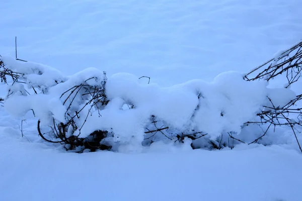 田野上覆盖着雪 一堆被雪覆盖的干草 美丽的冬季风景 — 图库照片