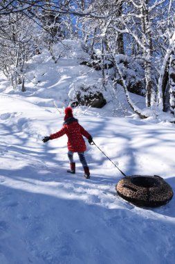 Parlak kırmızı ceketli ve şapkalı küçük bir kız kızağı yokuş yukarı çekiyor. Kar, kaydırak ve orman harika bir kış manzarası ve dinlenmek için bir yerdir..