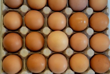 Hücrelerdeki çiğ tavuk yumurtaları sitenin arka planını oluşturuyor..