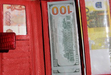 Açık kırmızı bir kadının cüzdanında, banknotlar ceplere konur - Amerikan doları, avro, Rus rublesi. Her banknot cüzdanın farklı bir bölümünde..
