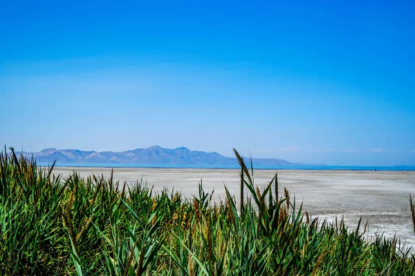 Great Salt Lake Utah Largest Saltwater Lake Western Hemisphere Far — Stock Photo, Image