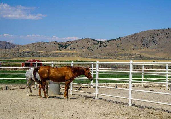 A beautiful ranch just outside of Salt Lake City in Utah.