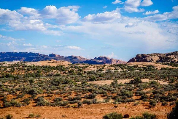 Una Mirada Alrededor Del Increíble Parque Nacional Arches Sur Utah — Foto de Stock