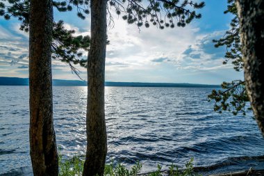 Wyoming 'deki Yellowstone Ulusal Parkı boyunca uzanan güzel manzara..