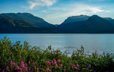 Wyoming 'deki Yellowstone Ulusal Parkı boyunca şaşırtıcı derecede güzel bir manzara..