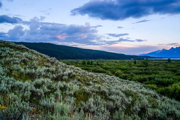 Día Senderismo Por Increíble Parque Nacional Grand Teton Wyoming —  Fotos de Stock