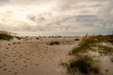 Hazine Adası Sahili Florida 'nın harika yumuşak kumu.