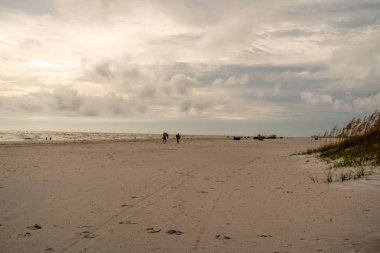 Hazine Adası Sahili Florida 'nın harika yumuşak kumu.