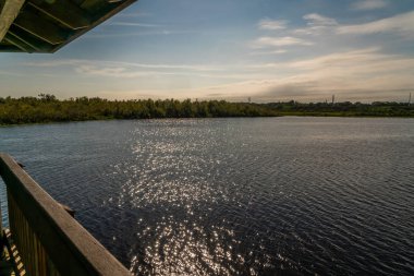 Sawgrass Gölü Parkı 'nda yürürken doğal ve insan yapımı güzellikleri göreceksiniz..