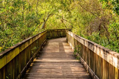 Sawgrass Gölü Parkı 'nda yürürken doğal ve insan yapımı güzellikleri göreceksiniz..