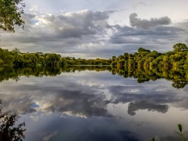 Güneybatı Florida 'daki Myakka Nehri' nin sakin suları bulutları yansıtıyor..