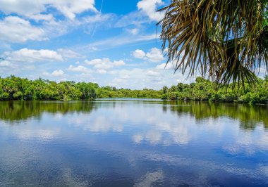 Myakka Nehri 'nden yansıyan mavi gökyüzü oldukça güzel..