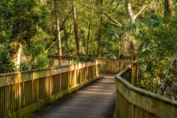 Much of the natural and man-made beauty you will see as you walk the trails of Sawgrass Lake Park.