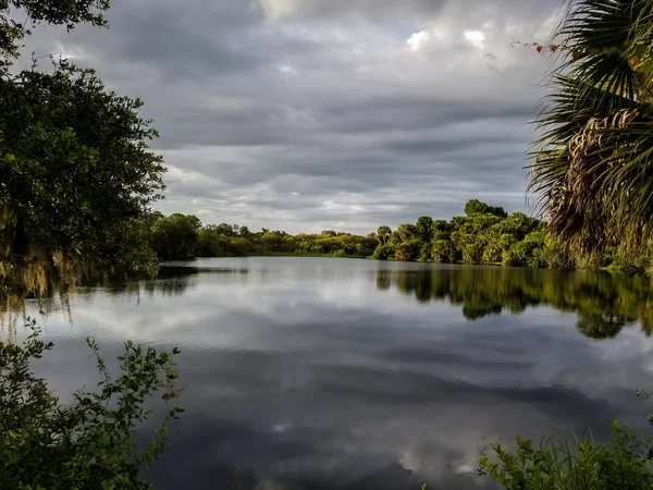 Las Tranquilas Aguas Del Río Myakka Suroeste Florida Reflejando Las — Foto de Stock