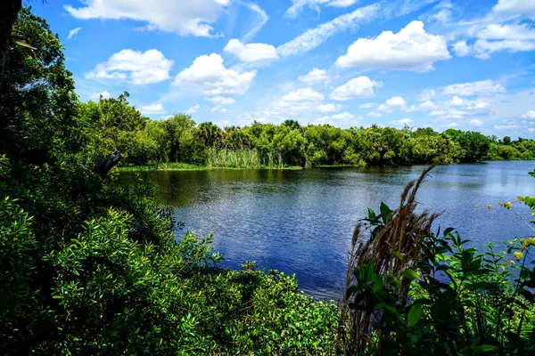 Blue Sky Reflecting Myakka River Quite Beautiful — ストック写真