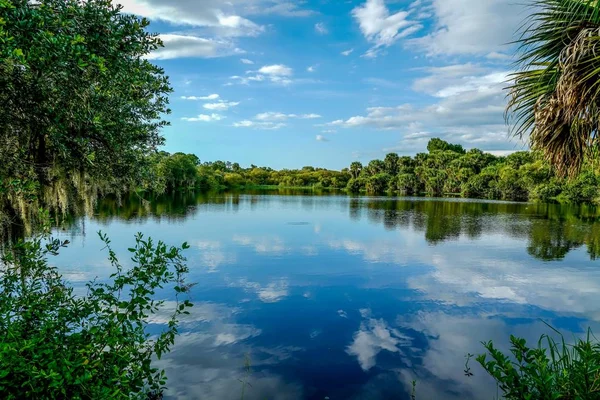 Cielo Azul Que Refleja Río Myakka Bastante Hermoso —  Fotos de Stock